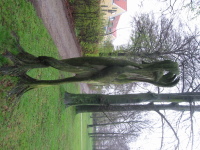 frederikshavn park tree.jpg
